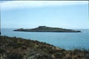 Ilha do Pessegueiro